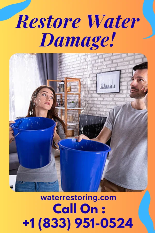 water restoration Citywide Disaster Cleanup Authority Riverview