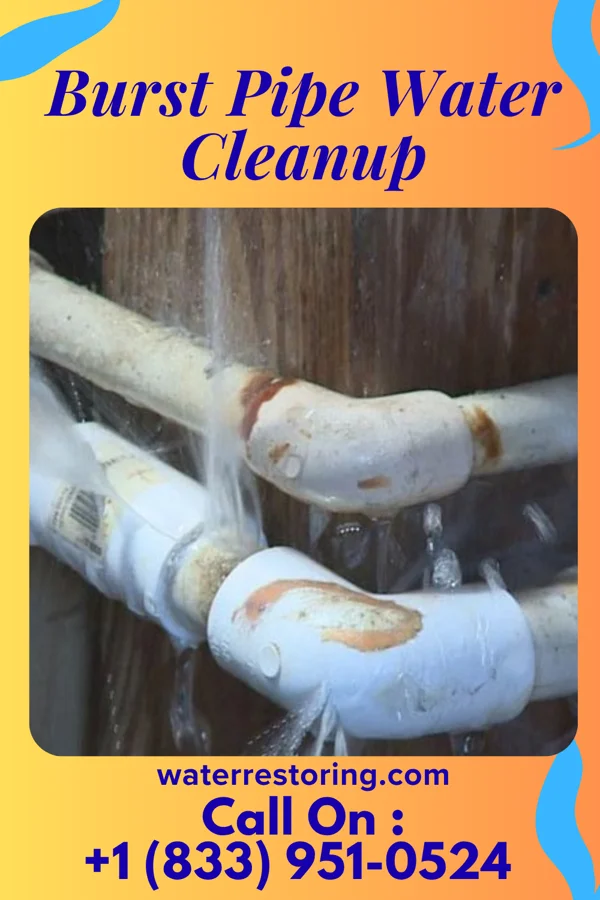 Burst Pipe Water Cleanup in Riverview, VA