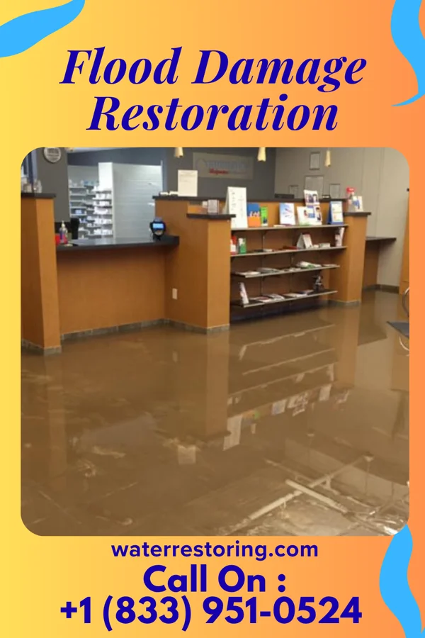 Flood Damage Restoration in Riverview, VA